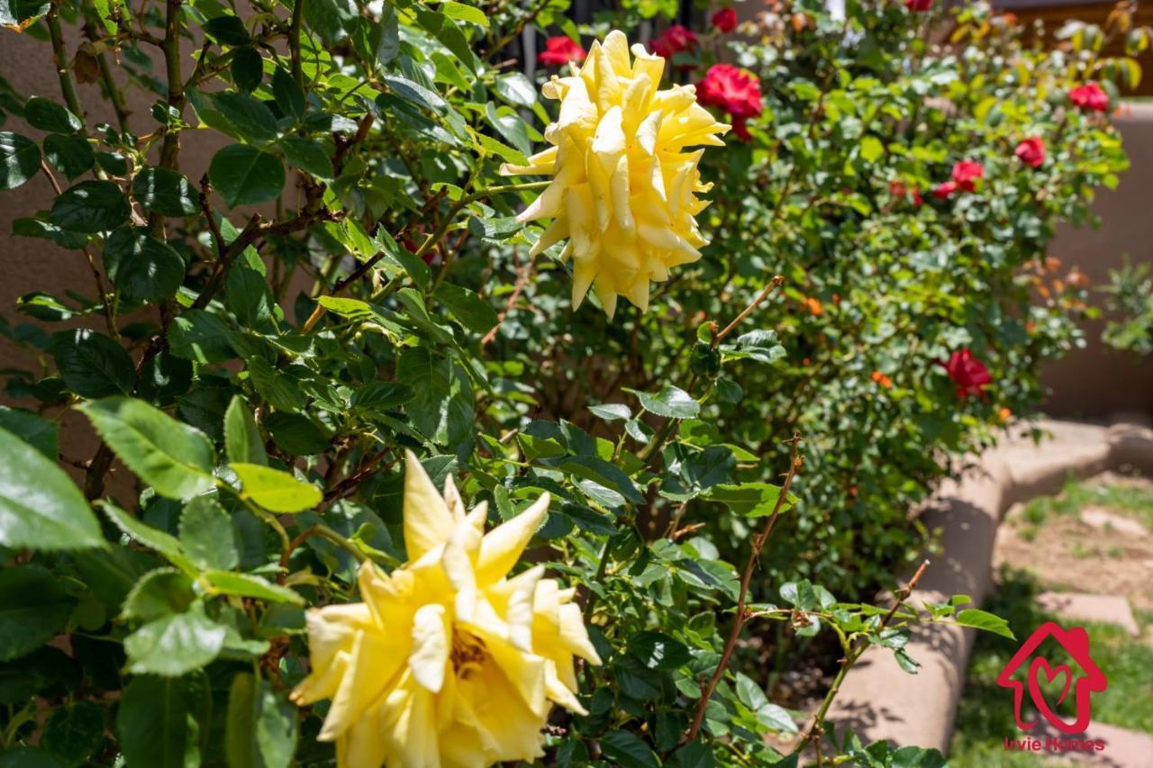 Rancho De La Luna Casita Santa Fe Dış mekan fotoğraf