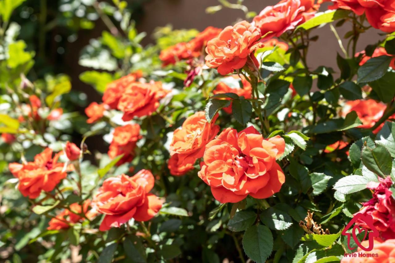 Rancho De La Luna Casita Santa Fe Dış mekan fotoğraf